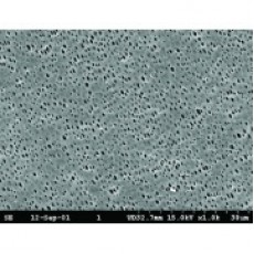 polyamide membrane filters Whatman type NL