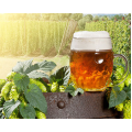 Kit Analisi BIRRA