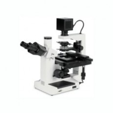 IB3FL-ICS