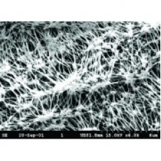 Membrane filtranti in PTFE con supporto Whatman tipo TE
